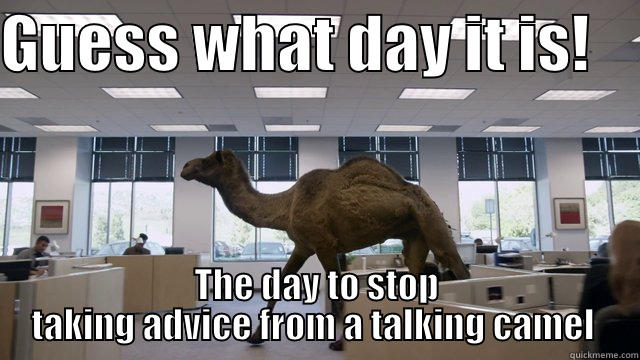 GUESS WHAT DAY IT IS!     THE DAY TO STOP TAKING ADVICE FROM A TALKING CAMEL  Misc