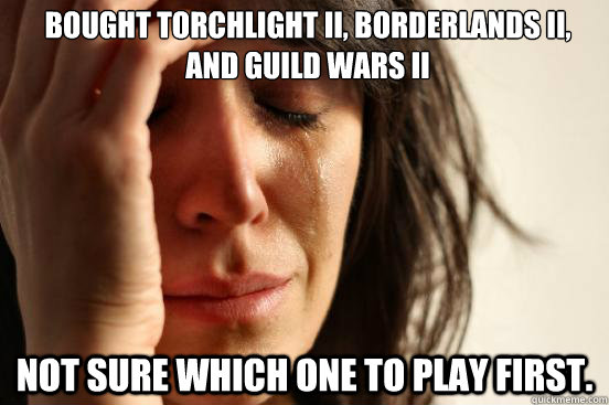 Bought Torchlight II, Borderlands II, and Guild Wars II Not sure which one to play first.  First World Problems