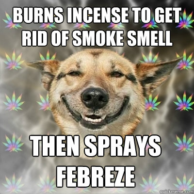 burns incense to get rid of smoke smell Then sprays febreze  Stoner Dog