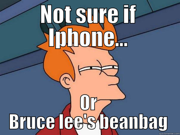 NOT SURE IF IPHONE... OR BRUCE LEE'S BEANBAG Futurama Fry