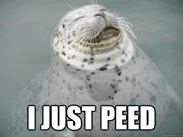 I just peed  Zen Seal