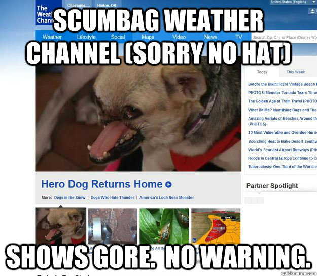 Scumbag Weather Channel (sorry no hat) Shows gore.  No warning. - Scumbag Weather Channel (sorry no hat) Shows gore.  No warning.  scumbag weather channel no nosed dog