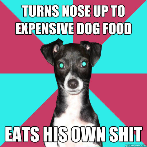 turns nose up to expensive dog food eats his own shit - turns nose up to expensive dog food eats his own shit  Dickhead Dog