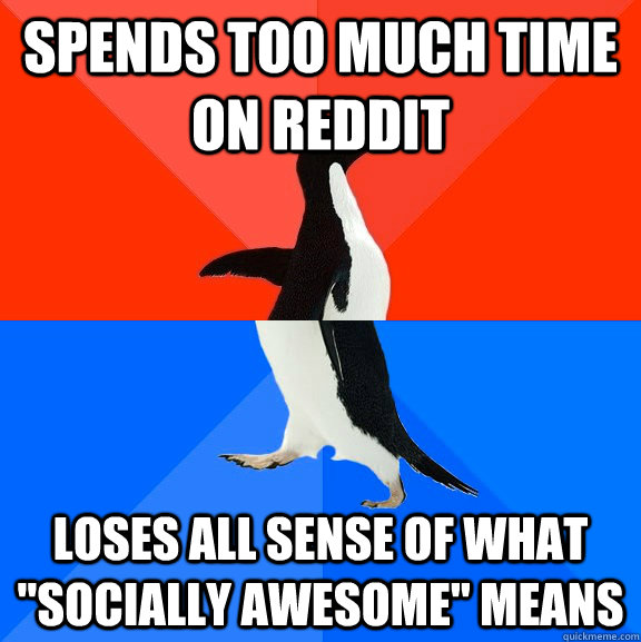 spends too much time on reddit loses all sense of what 
