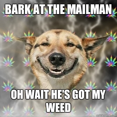 Bark at the mailman Oh wait he's got my weed - Bark at the mailman Oh wait he's got my weed  Stoner Dog