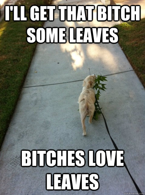 I'll get that bitch some leaves Bitches love leaves - I'll get that bitch some leaves Bitches love leaves  Bitches Love Leaves
