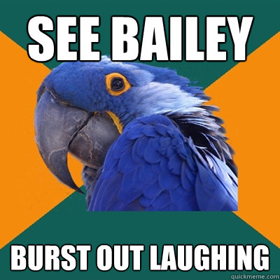 see bailey burst out laughing  Paranoid Parrot