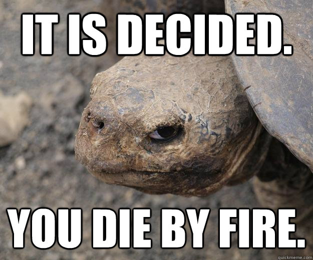 It is decided. You die by fire.  