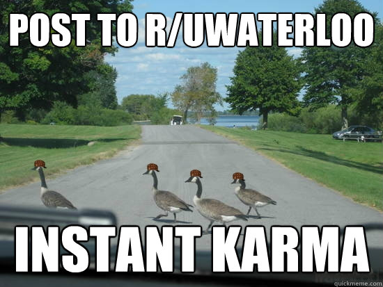 post to r/uwaterloo Instant Karma  Scumbag Geese