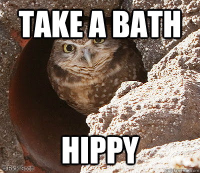 Take a bath hippy - Take a bath hippy  Angry Owl