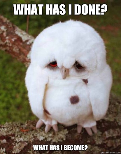What has I done? What has I become?  Depressed Owl