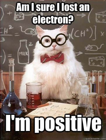 Am I sure I lost an electron? I'm positive  Chemistry Cat