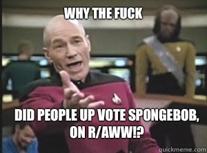 why the fuck Did people up vote spongebob, on r/aww!?  Annoyed Picard
