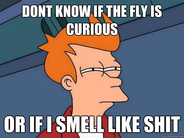 Dont know if the fly is curious or if i smell like shit  Futurama Fry