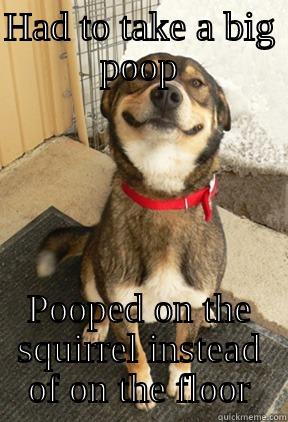 HAD TO TAKE A BIG POOP POOPED ON THE SQUIRREL INSTEAD OF ON THE FLOOR Good Dog Greg