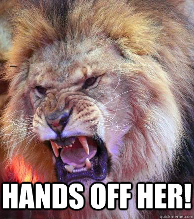 Hands off her!  angry lion