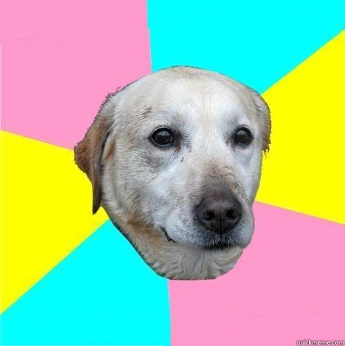    Politically Neutral Dog