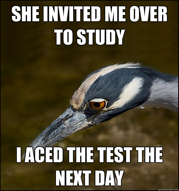 she invited me over to study i aced the test the next day - she invited me over to study i aced the test the next day  Sad Realization Heron