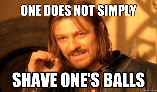 One Does Not Simply Shave one's balls - One Does Not Simply Shave one's balls  Boromir