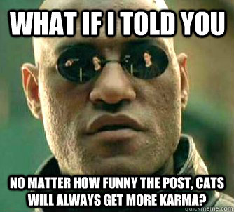 What if I told you no matter how funny the post, cats will always get more karma?  Matrix Morpheus