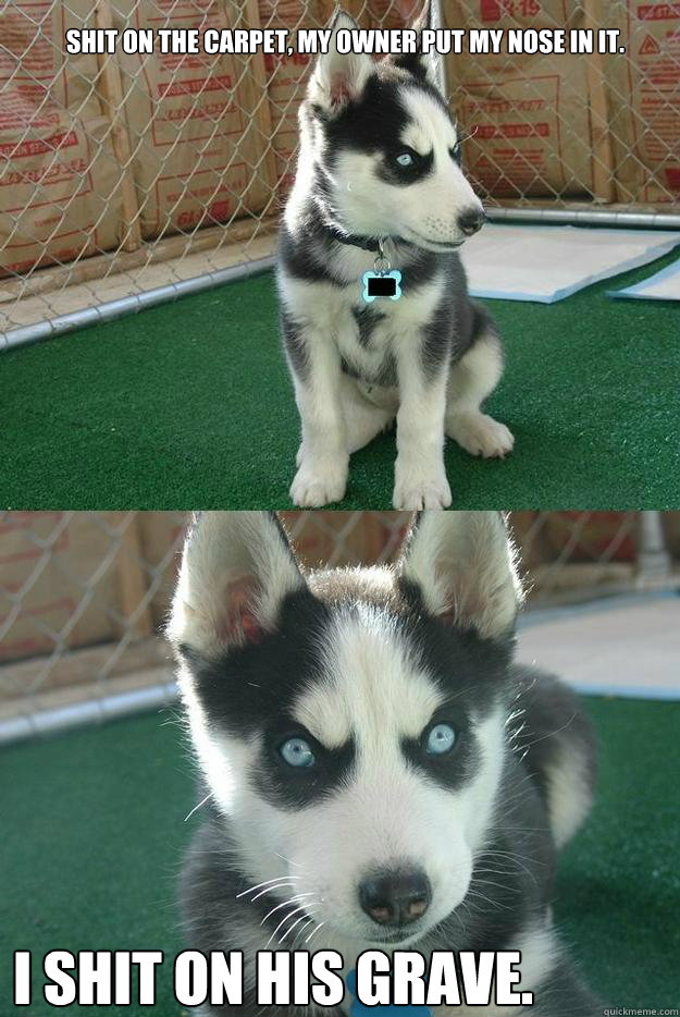 Shit on the carpet, my owner put my nose in it. I shit on his grave.  Insanity puppy