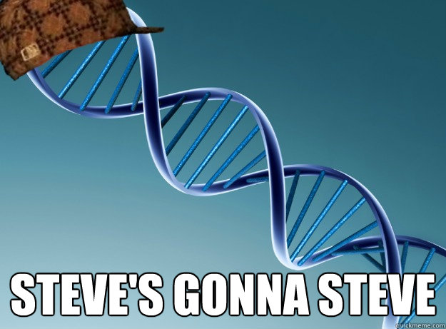  Steve's gonna steve  Scumbag Genetics