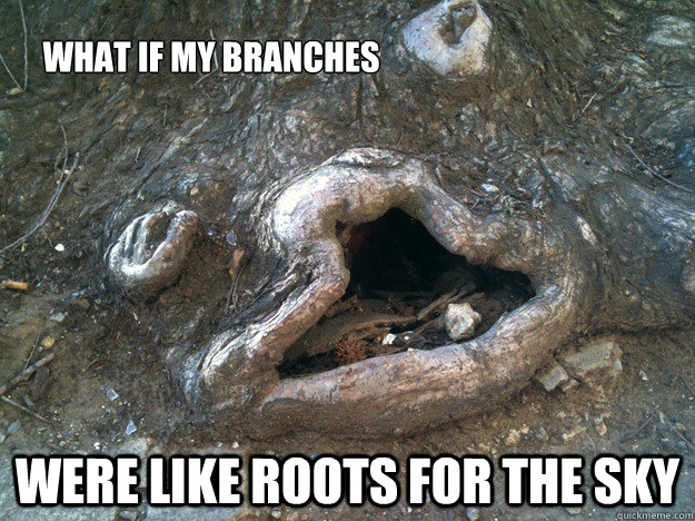 What if my branches were like roots for the sky - What if my branches were like roots for the sky  Misc