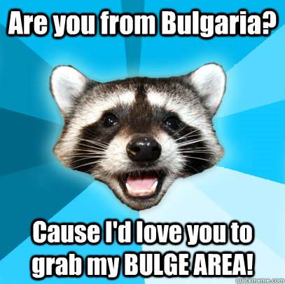 Are you from Bulgaria? Cause I'd love you to grab my BULGE AREA!   Lame Pun Coon