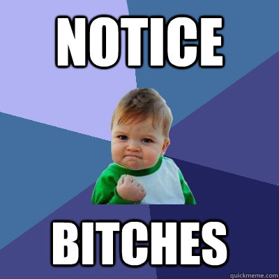 Notice bitches  Success Kid