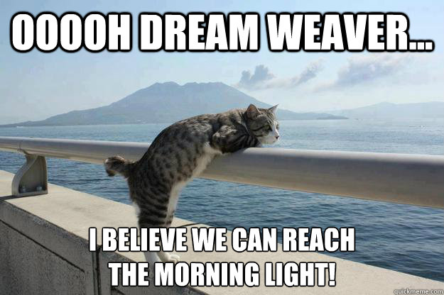 Ooooh dream weaver... I believe we can reach
the morning light! - Ooooh dream weaver... I believe we can reach
the morning light!  daydreamer cat