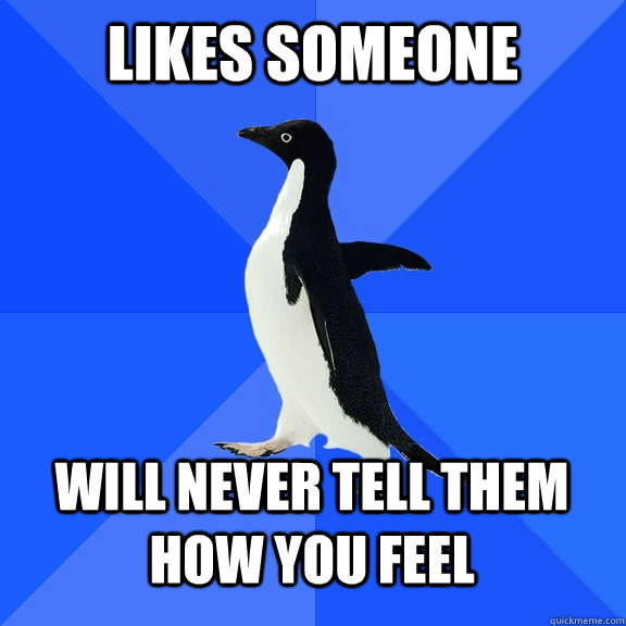 Likes someone Will never tell them how you feel   - Likes someone Will never tell them how you feel    Socially Awkward Penguin