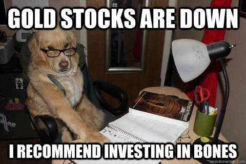 Gold stocks are down I recommend investing in bones - Gold stocks are down I recommend investing in bones  Financial Advice Dog