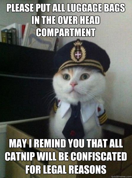 Please put all luggage bags in the over head compartment  may i remind you that All catnip will be confiscated for legal reasons
  Captain kitteh