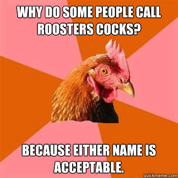 Why do some people call roosters cocks? Because either name is  acceptable. - Why do some people call roosters cocks? Because either name is  acceptable.  Anti-Joke Chicken