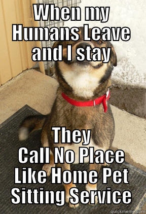 WHEN MY HUMANS LEAVE AND I STAY THEY CALL NO PLACE LIKE HOME PET SITTING SERVICE Good Dog Greg