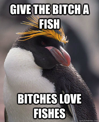 give the bitch a fish bitches love fishes  Socially Overconfident Penguin