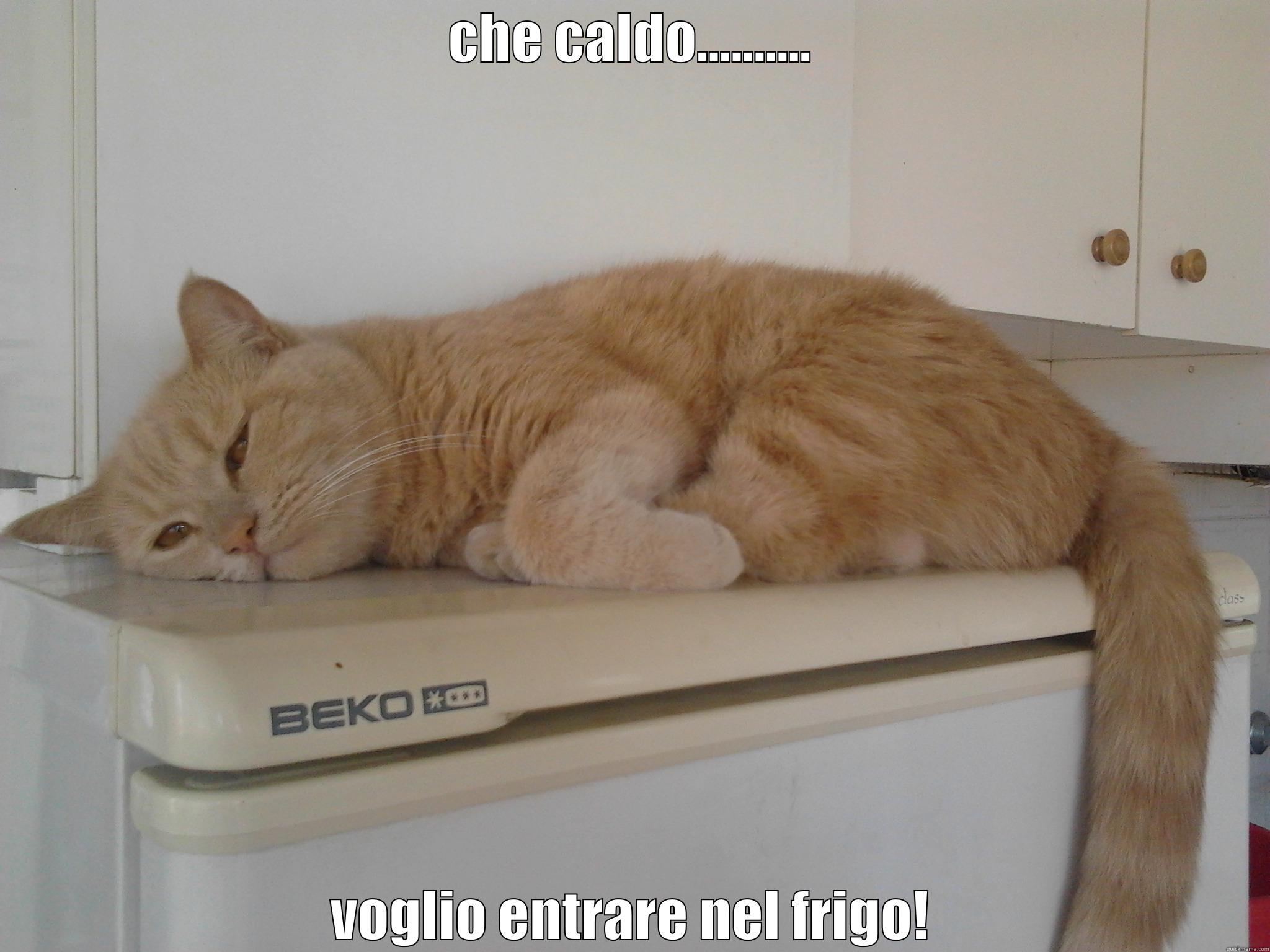 CHE CALDO.......... VOGLIO ENTRARE NEL FRIGO! Misc