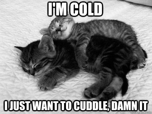 I'm cold i just want to cuddle, damn it  I JUST WANT TO CUDDLE