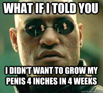 what if i told you I didn't want to grow my penis 4 inches in 4 weeks  Matrix Morpheus