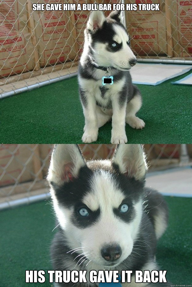 She gave him a bull bar for his truck His truck gave it back  Insanity puppy