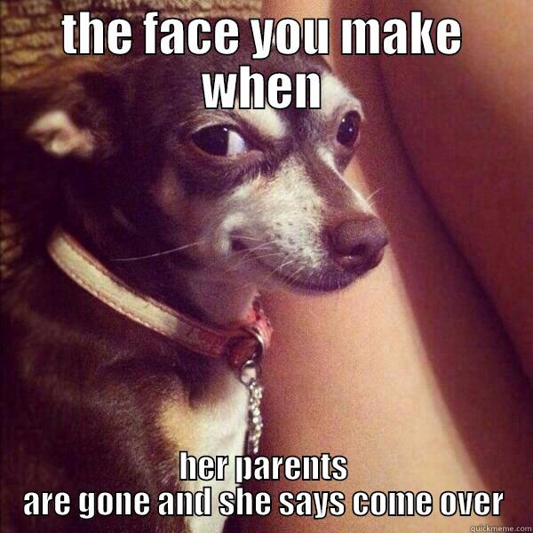 THE FACE YOU MAKE WHEN HER PARENTS ARE GONE AND SHE SAYS COME OVER Misc