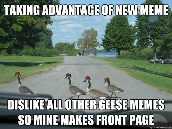 Taking advantage of new meme dislike all other geese memes so mine makes front page - Taking advantage of new meme dislike all other geese memes so mine makes front page  Scumbag Geese