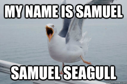 My name is samuel samuel seagull  