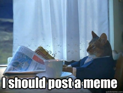  I should post a meme -  I should post a meme  Rich cat is rich