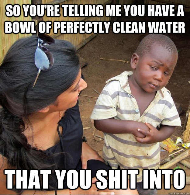 So you're telling me you have a bowl of perfectly clean water that you shit into  Skeptical Third World Kid
