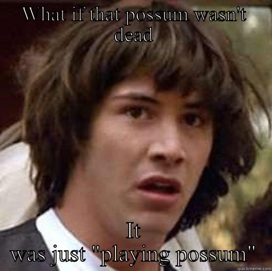 WHAT IF THAT POSSUM WASN'T DEAD IT WAS JUST 