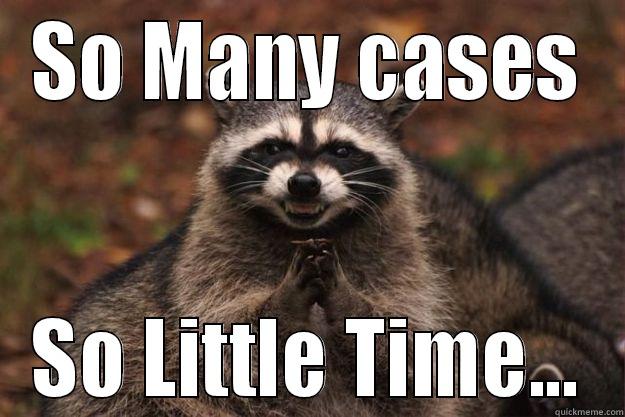 SO MANY CASES SO LITTLE TIME... Evil Plotting Raccoon