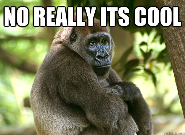 no really its cool  - no really its cool   Passive Aggressive Gorilla