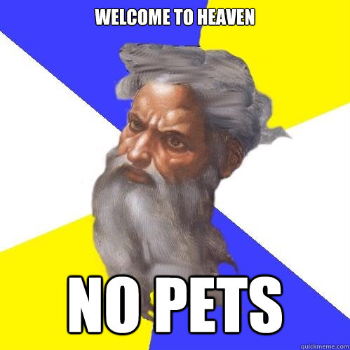 Welcome to Heaven No pets  Advice God