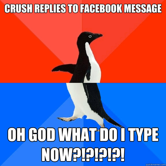 Crush replies to facebook message OH GOD WHAT DO I TYPE NOW?!?!?!?!  Socially Awesome Awkward Penguin